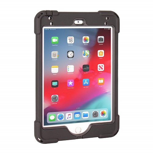 aXtion Bold P iPad Mini 4/5