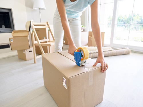 Quick Peek 100 labels - Bluelounge