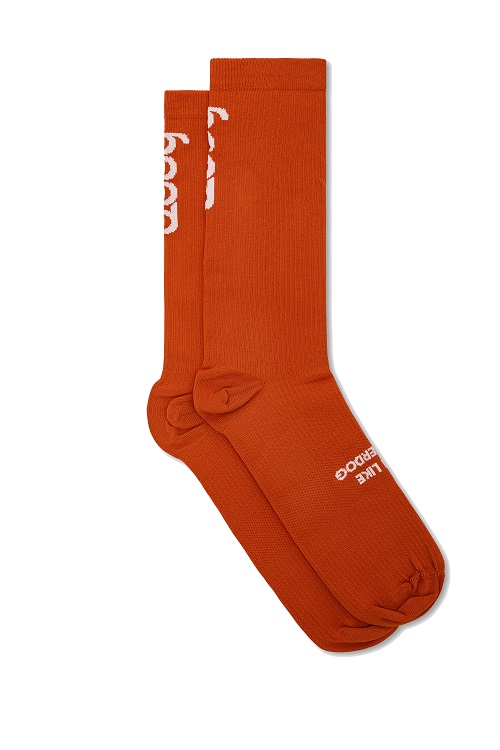 Logo Socks Brick