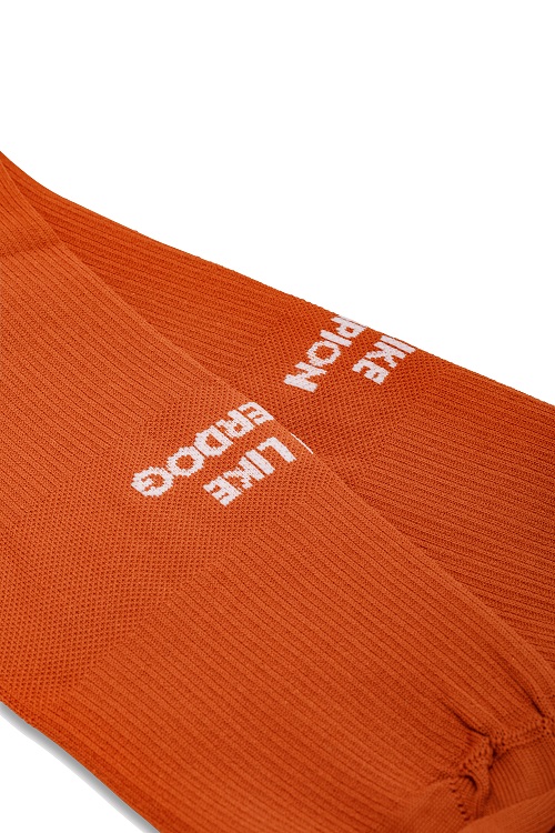 Logo Socks Brick